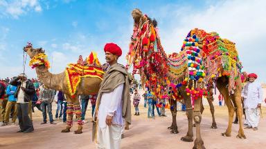 Camel caravan jaipur