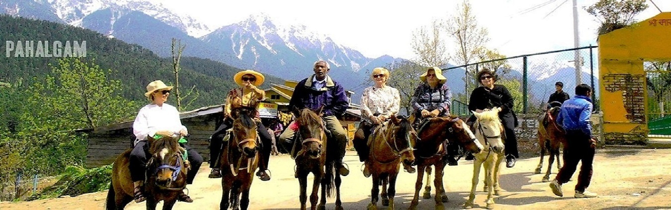 horse riding kashmir