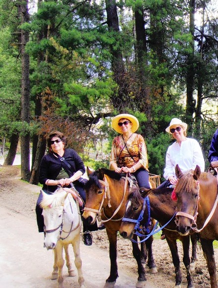 horseback trekking