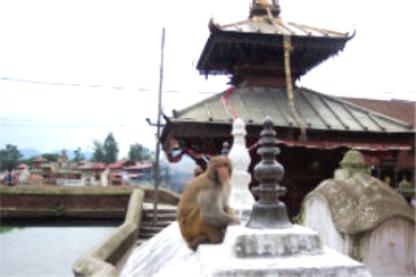 kathmandu temple