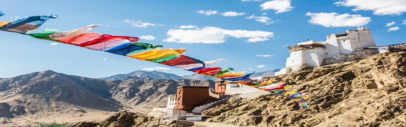 ladakh travel