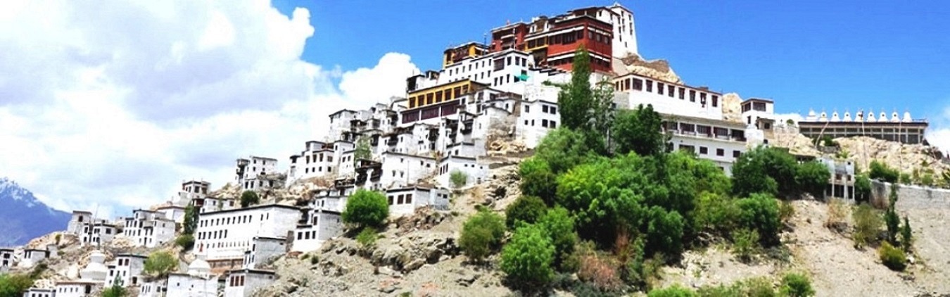 ladakh palace